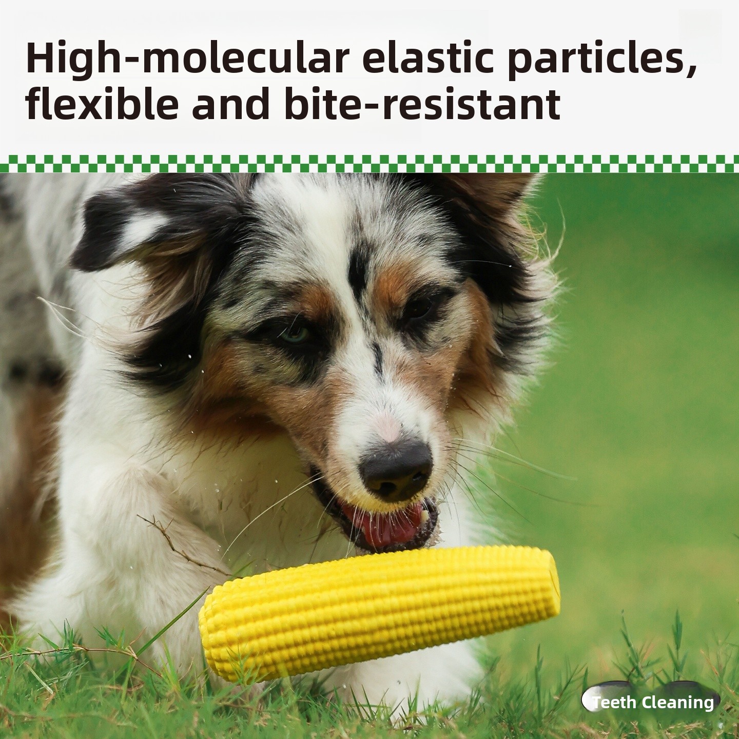 QZee Durable ETPU Corn Dog Toy - Corn Dog Stick のレビューと価格