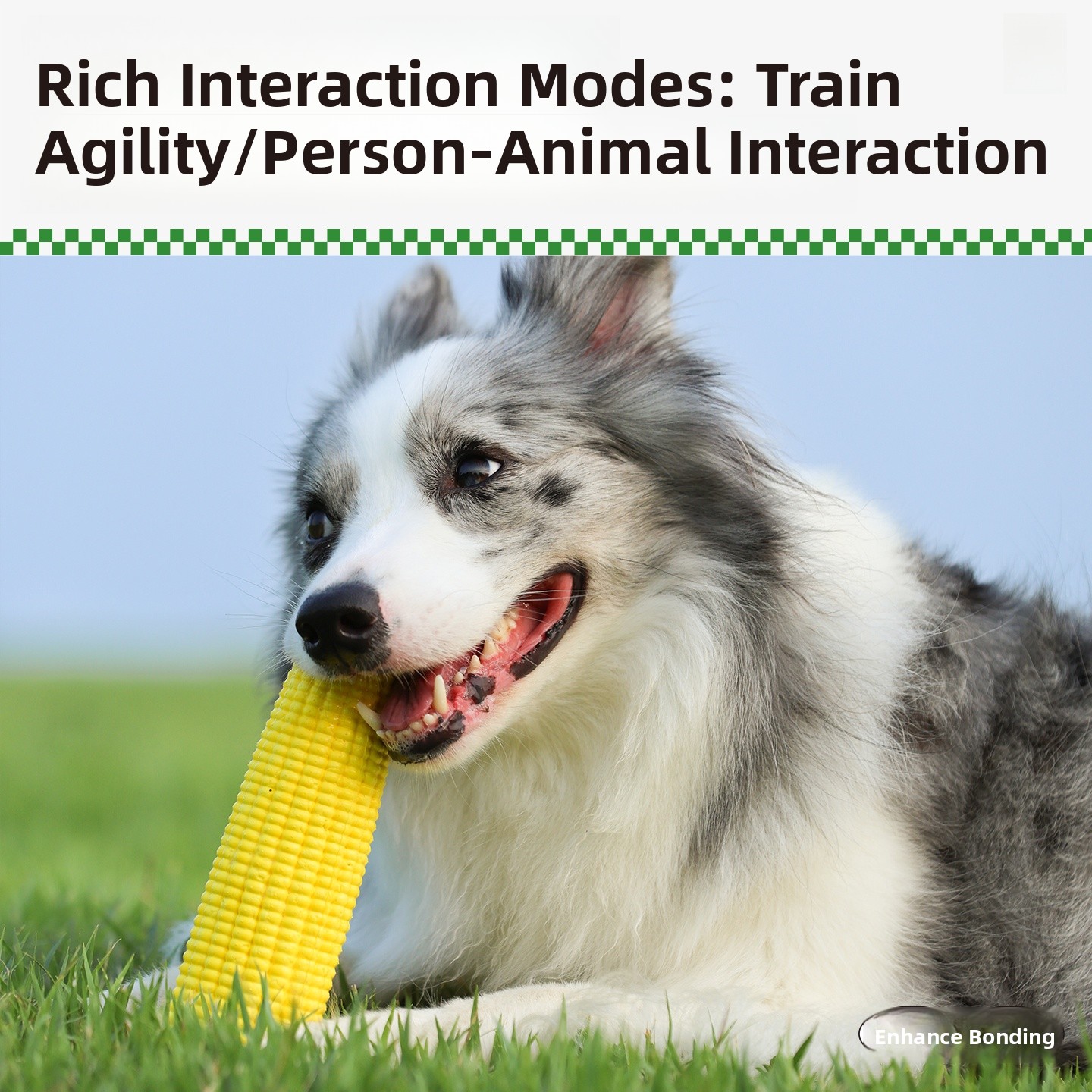 QZee Durable ETPU Corn Dog Toy - Corn Dog Stick のレビューと価格