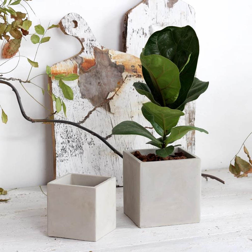 Large Square Flowerpot Silicon - Potsticker Mold のレビューと価格