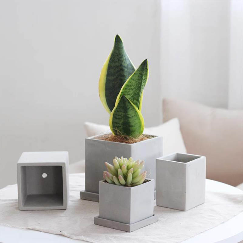 Large Square Flowerpot Silicon - Potsticker Mold のレビューと価格