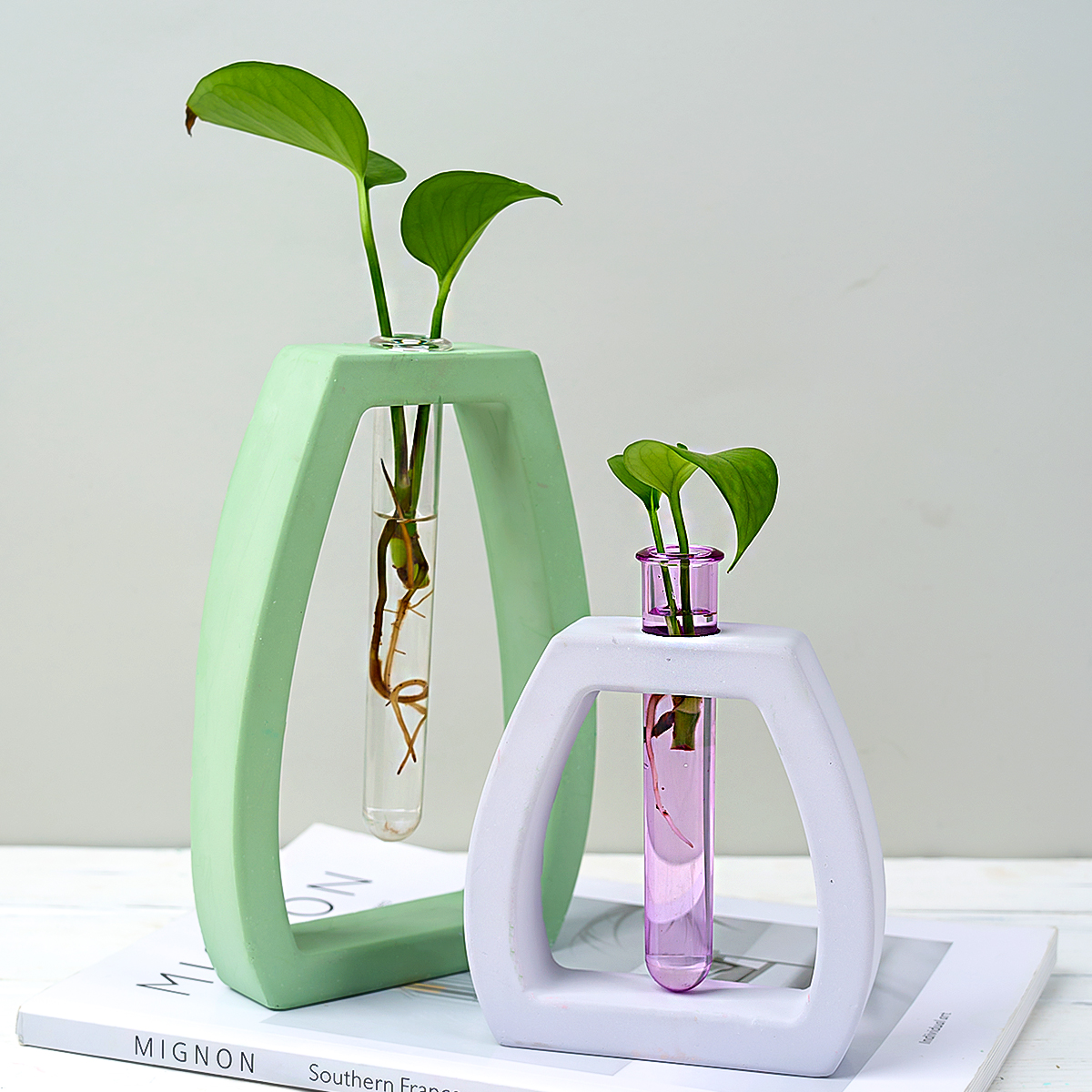 Hydroponic Test Tube Vase Sili - Potsticker Mold のレビューと価格